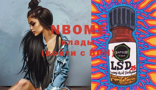 индика Кинешма