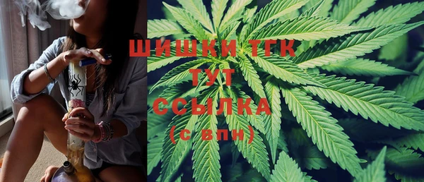 индика Кинешма