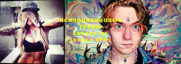 индика Кинешма