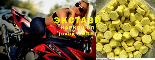 индика Кинешма