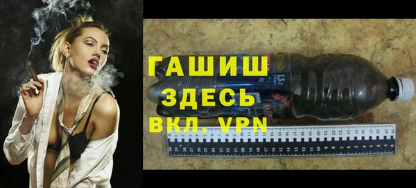 индика Кинешма