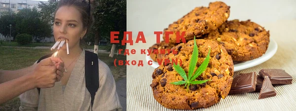индика Кинешма