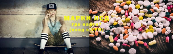 индика Кинешма