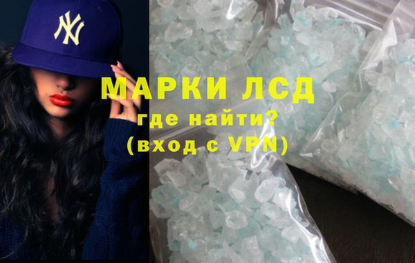 индика Кинешма