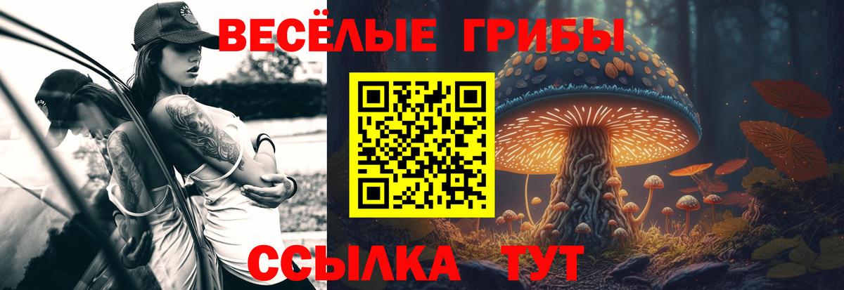 Псилоцибиновые грибы MAGIC MUSHROOMS  Галлюциногенные грибы Psilocybine cubensis  Вход с VPN  Нижний Тагил 