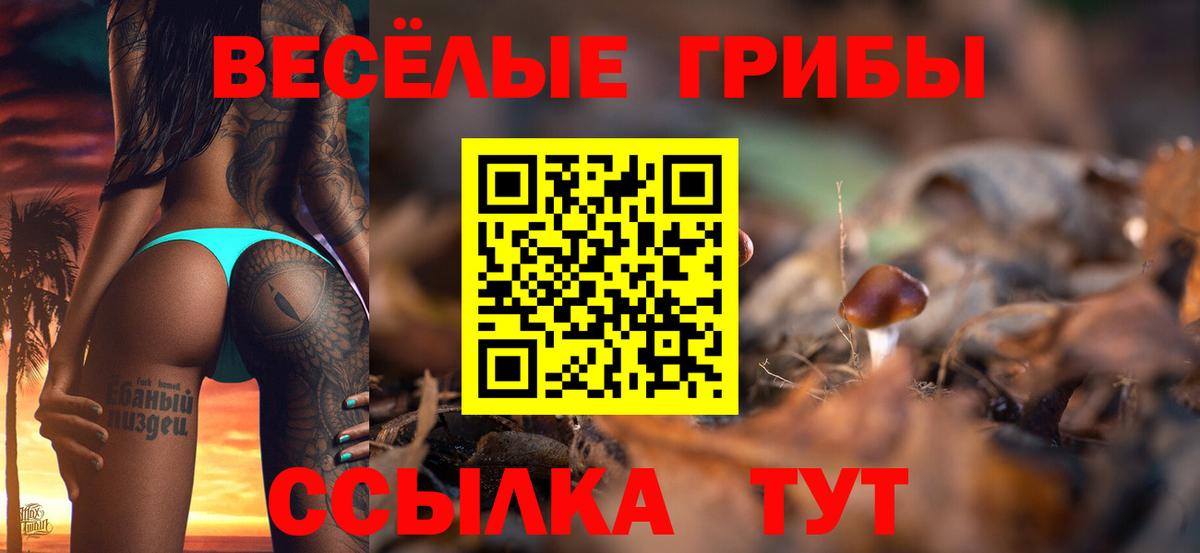 Псилоцибиновые грибы мицелий Нижний Тагил